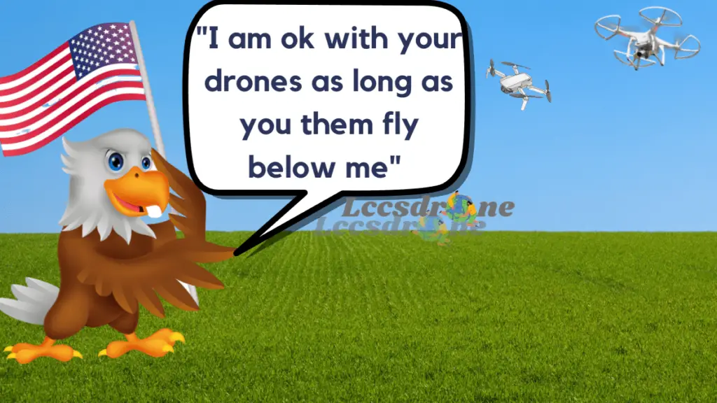 american bald eagle talking about drone Laws of the United States of America