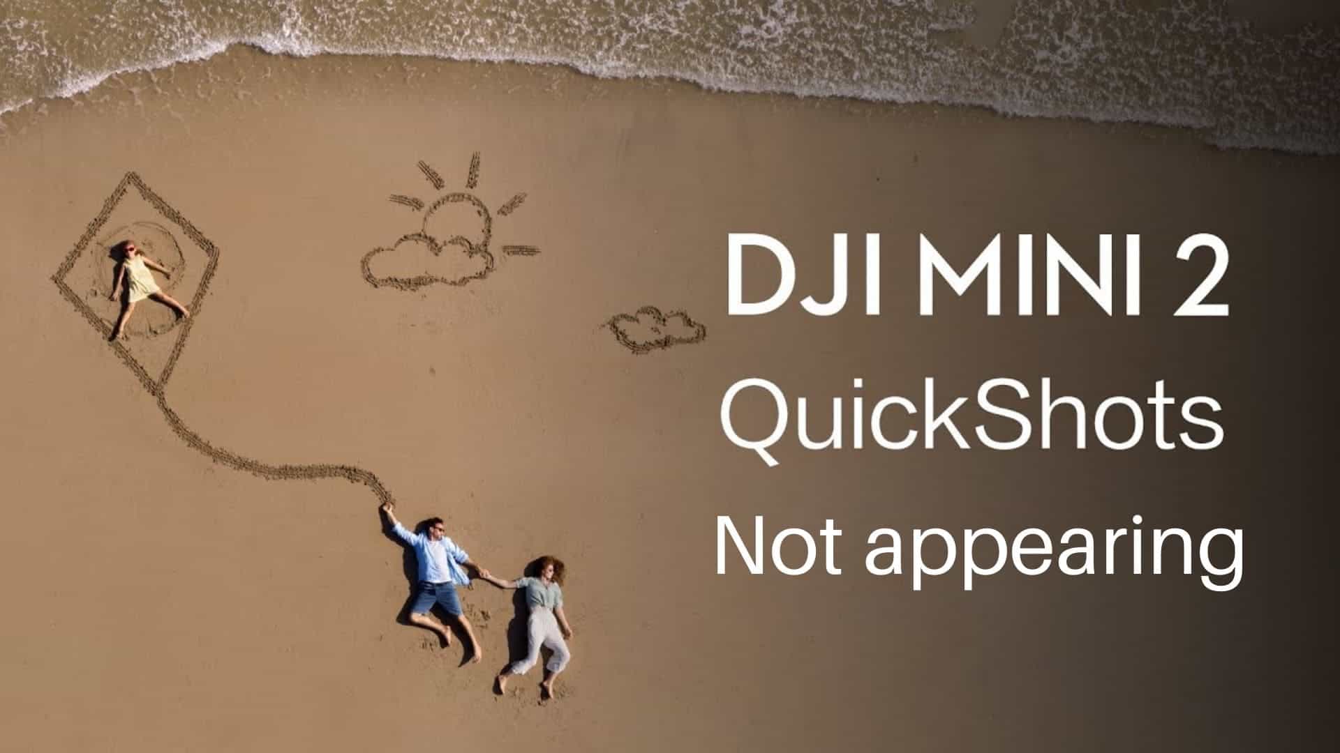 dji mavic mini no quickshot mode